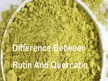 What Is the Difference Between Rutin And Quercetin?